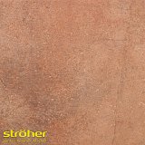 Клинкерные ступени AERA X 755 camaro