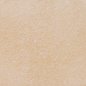 Керамогранит бежевый Crystal G-620 600x600